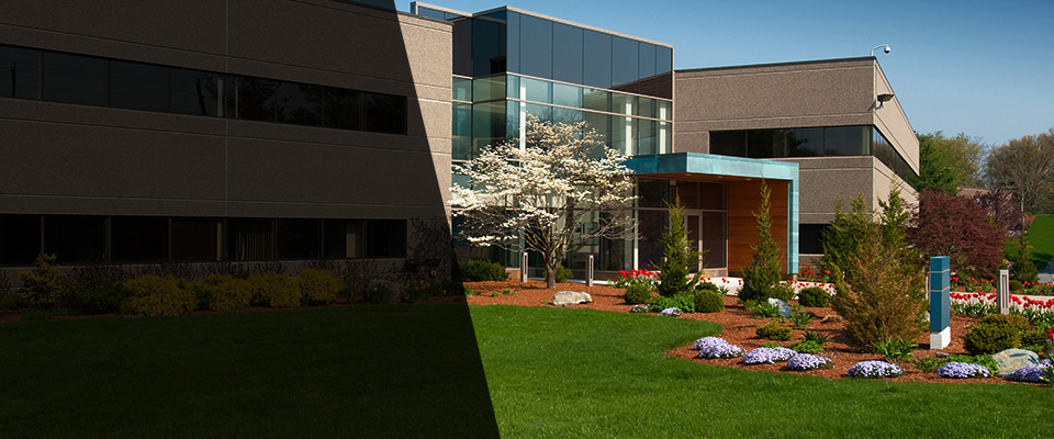 Rotonda West Landscapers